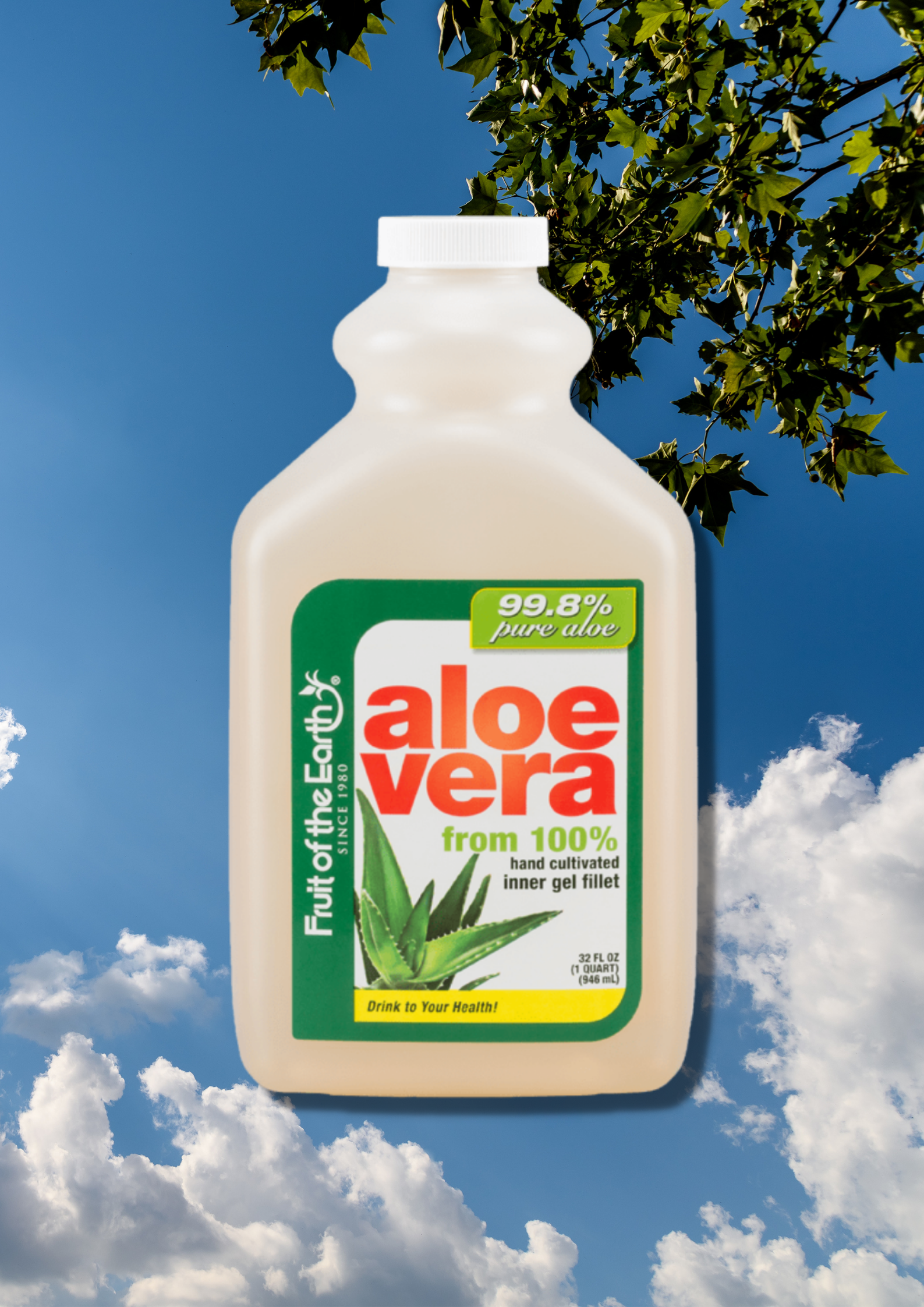 Fruit Of The Earth Aloe Vera Juice - The Halo Hub | Flutterwave Store